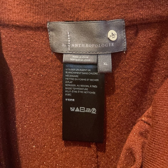 Anthropology Sparkle Pants - Picture 3 of 5